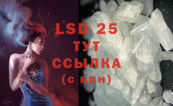 сатива Зеленокумск