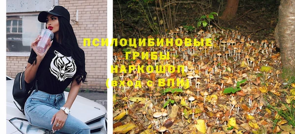 сатива Зеленокумск