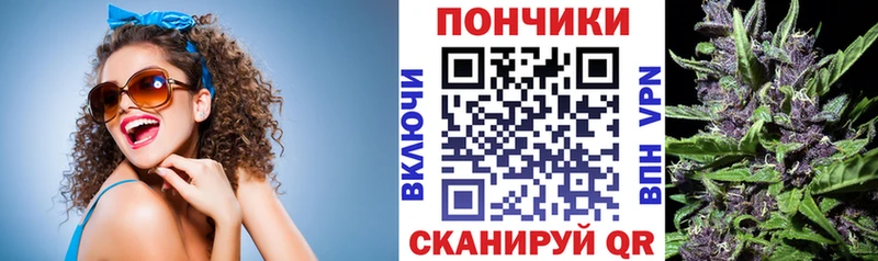 Канабис семена  Купить закладки  Верея 